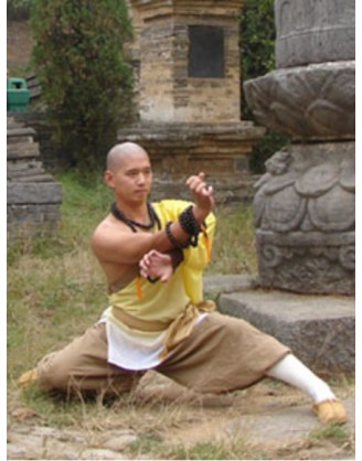 2 Years Advance Shaolin Kung Fu Training in China